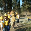 Elmas PIM 2008